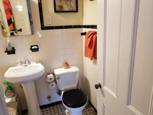 Cozy Fully Furnished Apartment Near Prospect Park & Public Transport in Brooklyn, USA