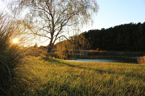 Brooklyn Meadows - image 2