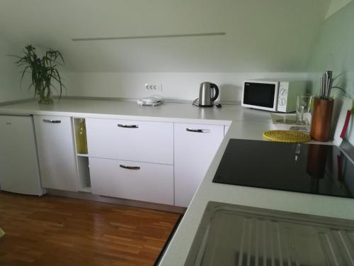 บริการและสิ่งอำนวยความสะดวก, Apartment Countryside Kolpa-Bela krajina in โดเลนจ์สเกโทพลิซ