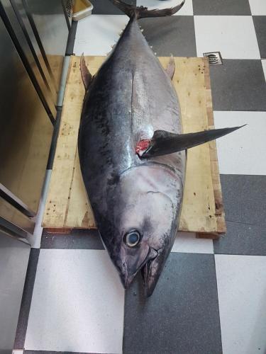 El Campanario - image 3