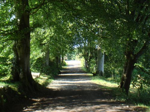 Cullybackey Cottage, , County Antrim