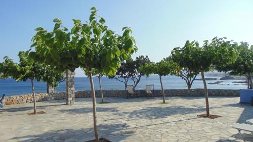 Paraktio Beach Apartments 4