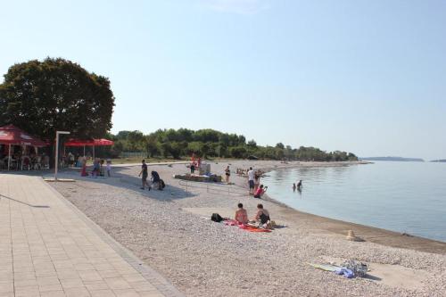 Family friendly house with a swimming pool Guran Central Istria - Sredisnja Istra - 7373 - image 7