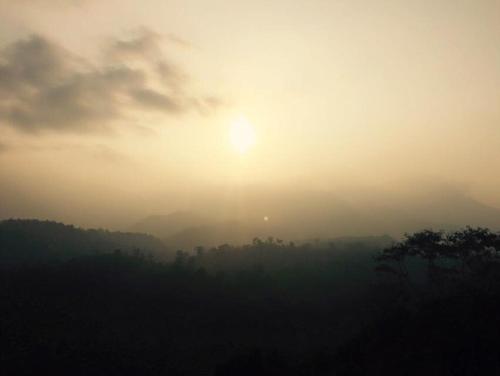 Pristine Hills, Meppādi (fotografie 8)