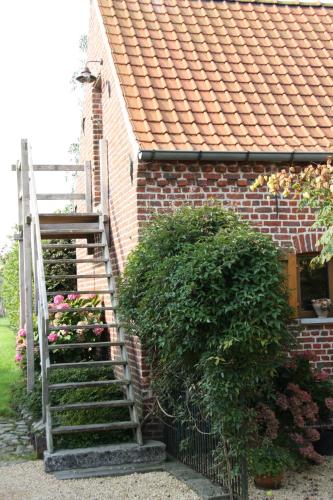 Amberhoeve - image 8