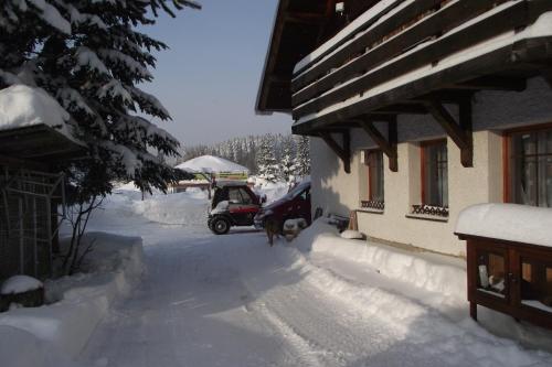 Surrounding environment, Pension U Krtka - primo u sjezdovky in Harrachov