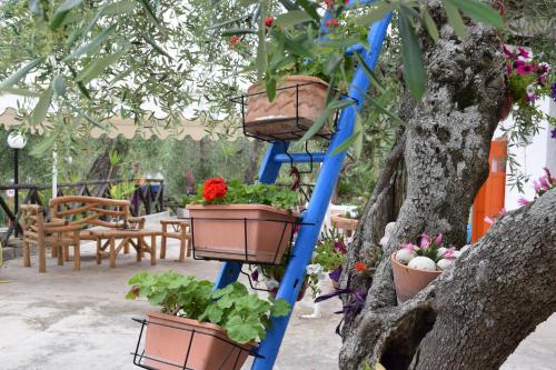Camping Valle d'oro - image 11