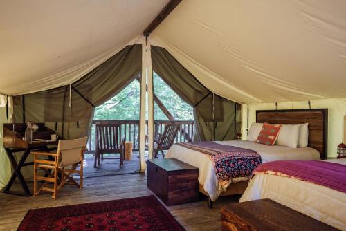 Firelight Camps