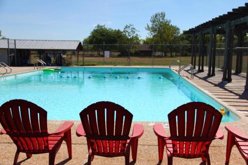 Wild Arrow Ranch - image 10