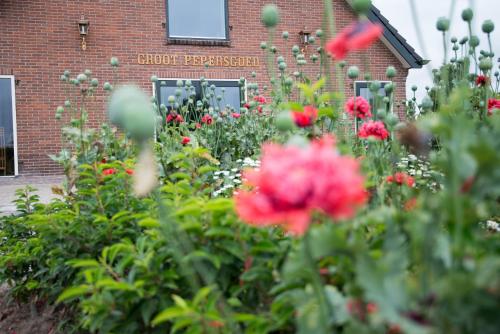 ทางเข้า, B&B Groot Pepersgoed in นิจเกิก