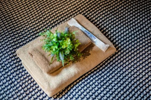 IKIDANE Residential Hotel 駒込