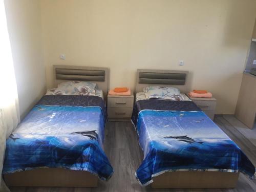 2 twin beds
