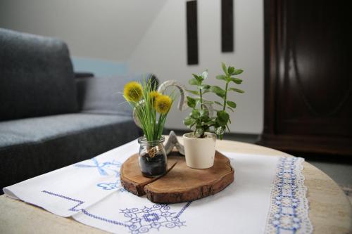 Ferienwohnung am Schwarzen Wehl in 庫薩文