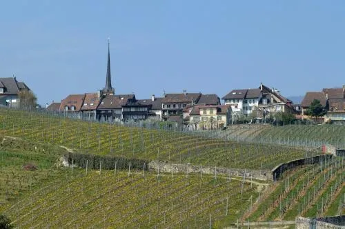 Cave du Cep in Cortaillod, Schweiz