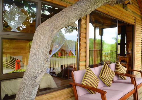 Pezulu Tree House Lodge 5
