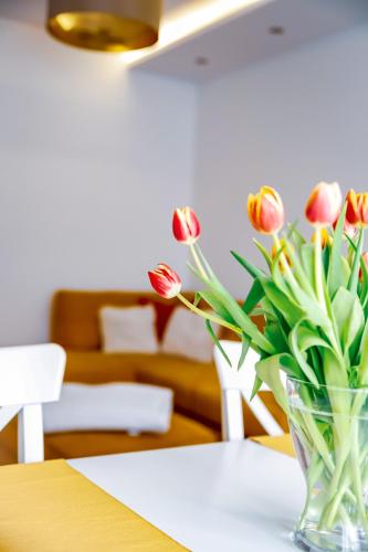  Cozy apartment in the downtown in Győr