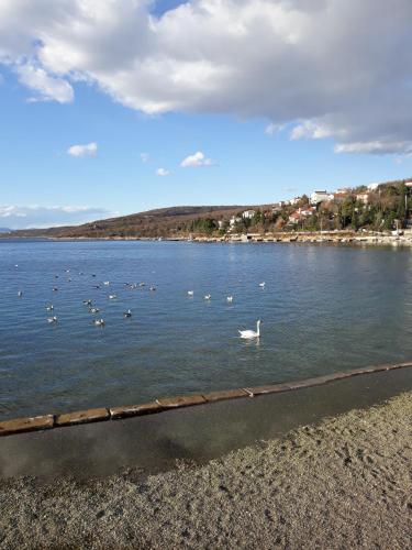  Apartment Zara, Unterkunft in Jadranovo