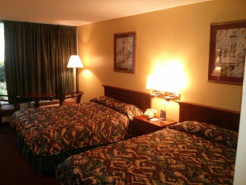 Motel 6-Florence SC - image 7