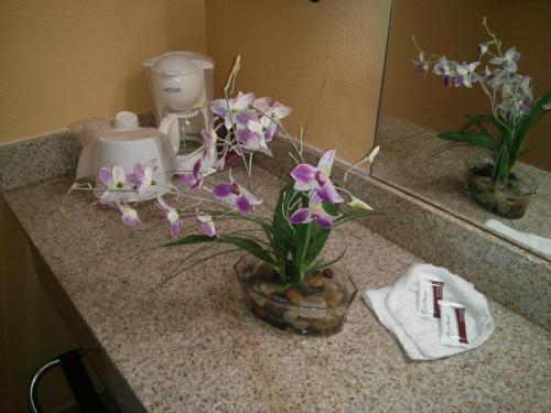 Inn Cheraw – Cheraw, SC