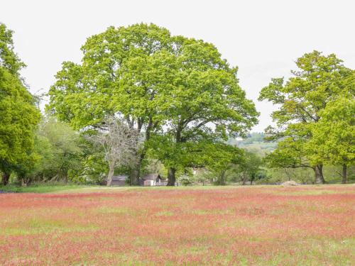Pheasant Lodge - image 6