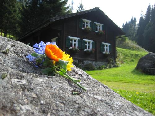 Haus Schnetzer - image 3