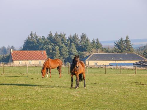 The Byre - image 11