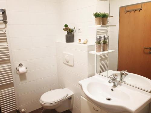 ห้องน้ำ, Red Rose Apartment in โมราฟสเกโทพลิซ