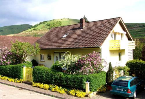 Gästehaus Ruländer - Apartment - Vogtsburg