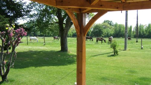 Chambres d'Hotes Carpediem - image 5