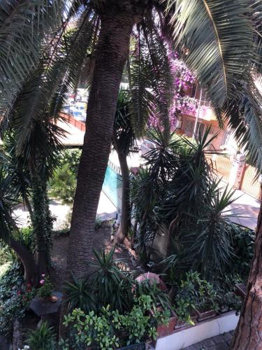 Il Tempio di Morfeo - image 13