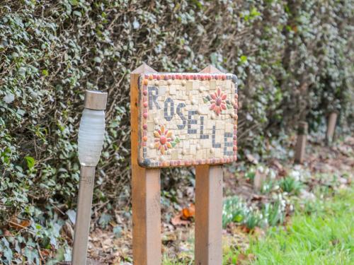 Roselle - image 11