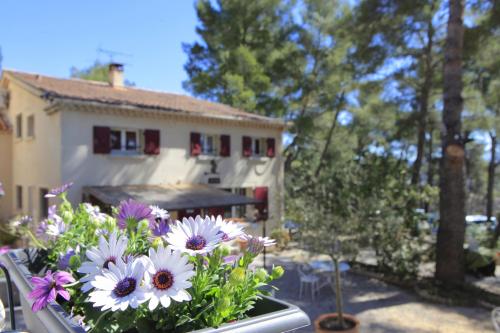 Le Mas des Ecureuils - image 9