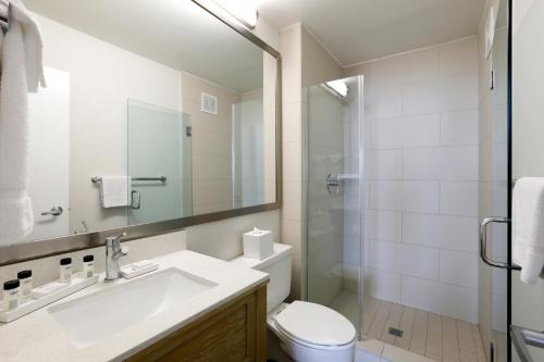 The Wayfarer San Diego Room Type - Suite with Pool View
