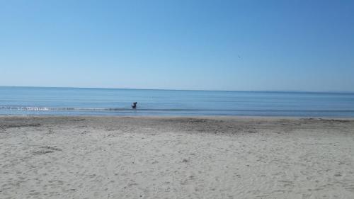 Omgivelser, ESCALE AU GRAU DU ROI in Le Grau-du-Roi