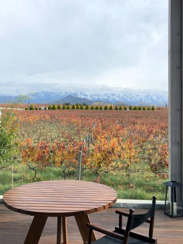 Casa de Uco, Vineyards & Wine Hotel