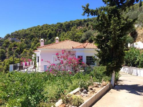  POROS THEA VILLA in Poros