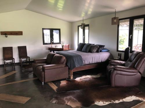 Finca Hotel Brasilia in La Virginia