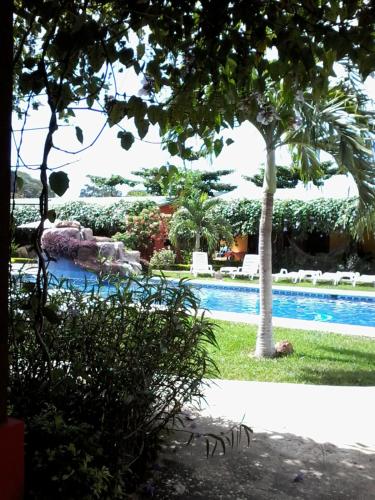 Swimming pool, Apartments-Villas Playa Potrero 1 in Potrero