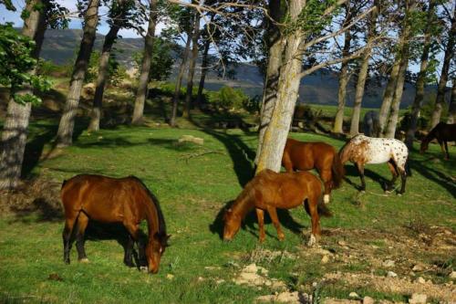  APARTAMENTO FONTELLAS-AYERBE in Fontellas