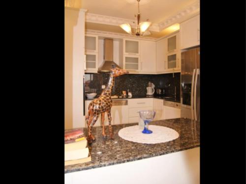  Picture Renting your 5 Star Villa Located in Alanya with Beautiful Private Pool, Alanya Villa 1030 in Alanya