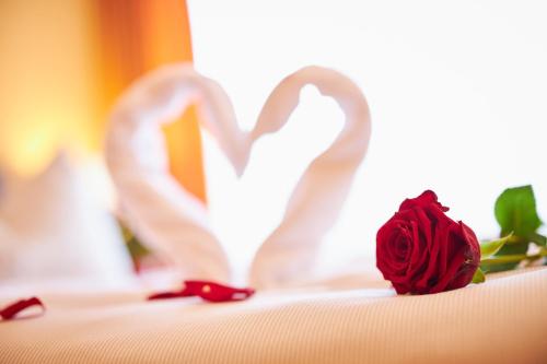 Hotel Landskron - image 11