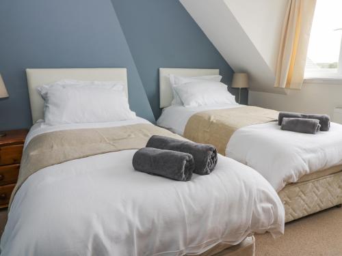 8 Wilton Road - image 8