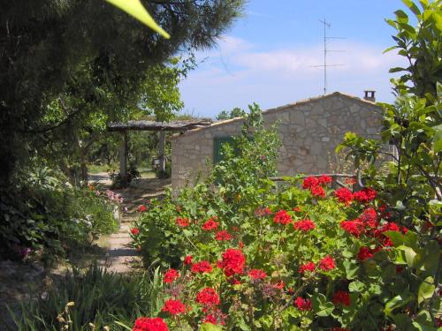 Casa Vacanze Fattoria Pozzitello