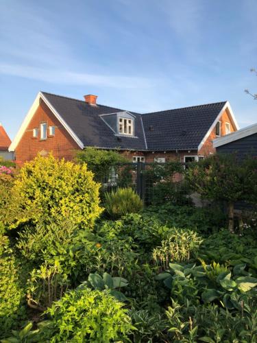 Fly B&B in Silkeborg