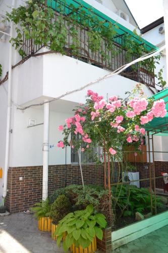 Maria Guesthouse - image 5