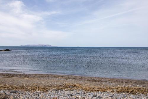 Irilena by Checkin - image 8