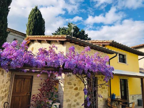  Il Cortile delle Rose Holiday House, Unterkunft in Perugia