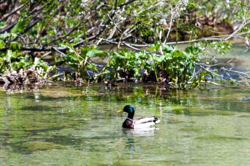B&B Plitvica Creek
