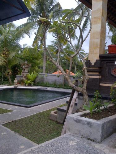 Dewa House Bisma