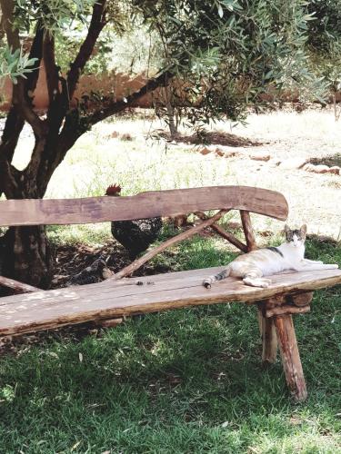 Les Jardins de Taja Les Jardins de Taja